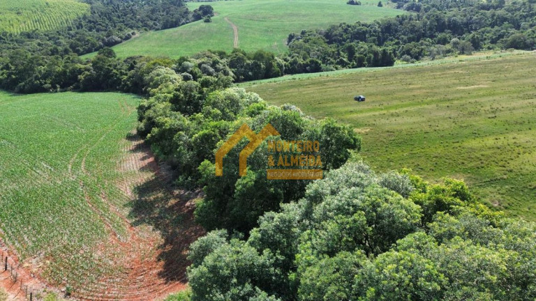 Imagem Fazenda à Venda, 605.000 m² em Vale San Fernando - Itapetininga Imagem Fazenda à Venda, 605.000 m² em Vale San Fernando - Itapetininga