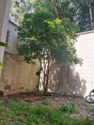 Imagem Casa de Condomínio com 3 Quartos à Venda, 110 m² em Jardim Passárgada I - Cotia Imagem Casa de Condomínio com 3 Quartos à Venda, 110 m² em Jardim Passárgada I - Cotia