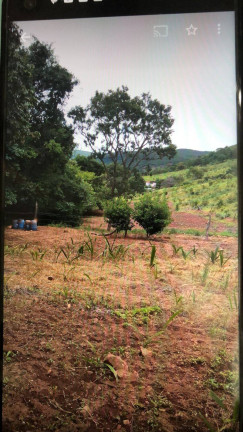 Imagem Chácara à Venda, 6 m² em Zona Rural - Pirenópolis Imagem Chácara à Venda, 6 m² em Zona Rural - Pirenópolis