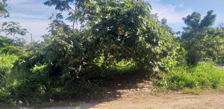 Imagem Terreno à Venda, 250 m² em Itanhaém Imagem Terreno à Venda, 250 m² em Itanhaém
