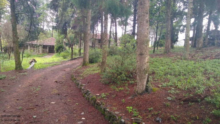 Imagem Imóvel com 3 Quartos à Venda, em Morada Dos Pássaros - Poços De Caldas Imagem Imóvel com 3 Quartos à Venda, em Morada Dos Pássaros - Poços De Caldas