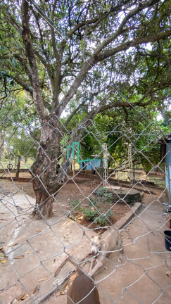 Imagem Imóvel com 4 Quartos à Venda, 5.006 m² em Morada Do Sol - Franca Imagem Imóvel com 4 Quartos à Venda, 5.006 m² em Morada Do Sol - Franca