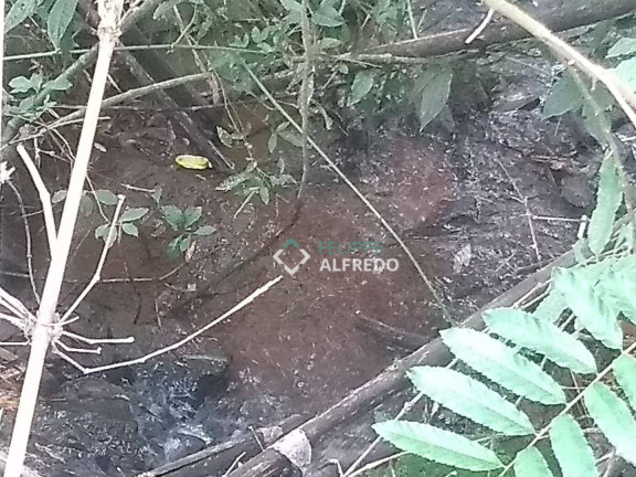 Imagem Terreno à Venda, 850 m² em Zona Rural - Dois Irmãos Imagem Terreno à Venda, 850 m² em Zona Rural - Dois Irmãos