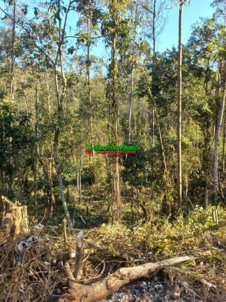 Imagem Chácara à Venda, 20.000 m² em Centro - Monteiro Lobato Imagem Chácara à Venda, 20.000 m² em Centro - Monteiro Lobato