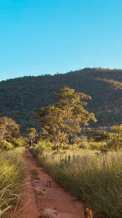 Imagem Chácara à Venda, 48.400 m² em Zona Rural - Pirenópolis Imagem Chácara à Venda, 48.400 m² em Zona Rural - Pirenópolis