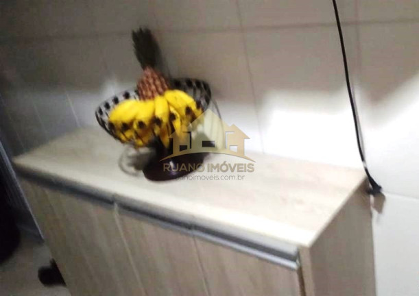 Imagem Apartamento com 3 Quartos à Venda, 55 m² em Vila Cosmopolita - São Paulo Imagem Apartamento com 3 Quartos à Venda, 55 m² em Vila Cosmopolita - São Paulo
