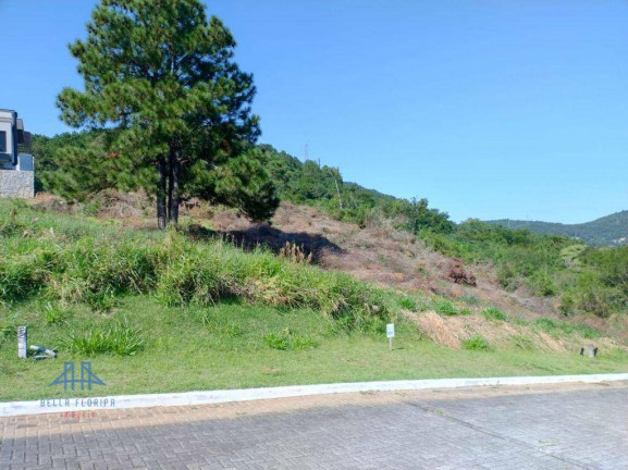 Imagem Terreno à Venda, 525 m² em Itacorubi - Florianópolis