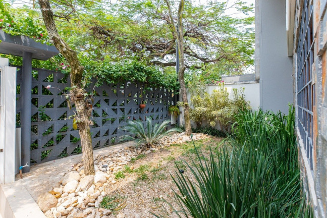 Imagem Casa com 3 Quartos à Venda, 304 m² em Moema Pássaros - São Paulo