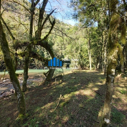 Imagem Chácara à Venda, 120.000 m² em Bento Gonçalves Imagem Chácara à Venda, 120.000 m² em Bento Gonçalves
