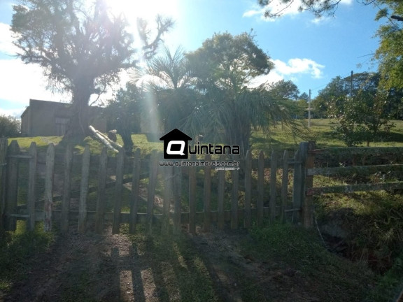 Imagem Imóvel com 4 Quartos à Venda, 80.000 m² em Colônia Santa Maria - Pelotas