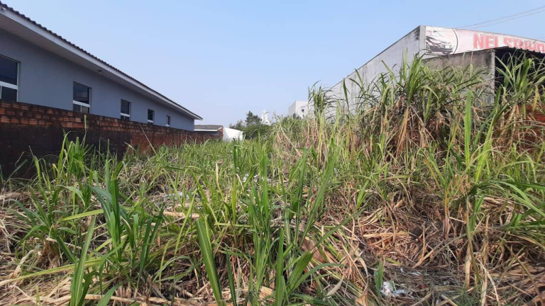 Imagem Terreno à Venda, 480 m² em Floresta - Cascavel Imagem Terreno à Venda, 480 m² em Floresta - Cascavel