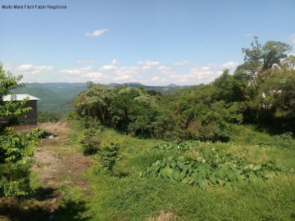 Imagem Terreno à Venda, em Vila Olinda - Nova Petrópolis Imagem Terreno à Venda, em Vila Olinda - Nova Petrópolis
