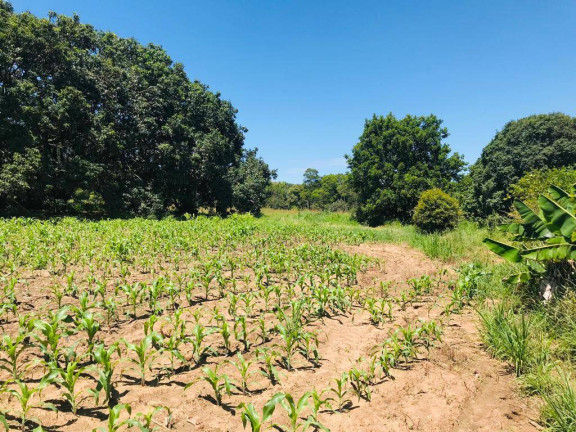 Imagem Terreno à Venda, em Farias - Araçoiaba Da Serra Imagem Terreno à Venda, em Farias - Araçoiaba Da Serra