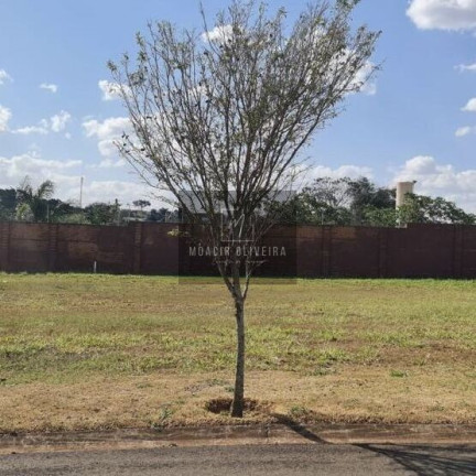 Imagem Terreno à Venda, 750 m² em Royal Park Prime - Ourinhos Imagem Terreno à Venda, 750 m² em Royal Park Prime - Ourinhos