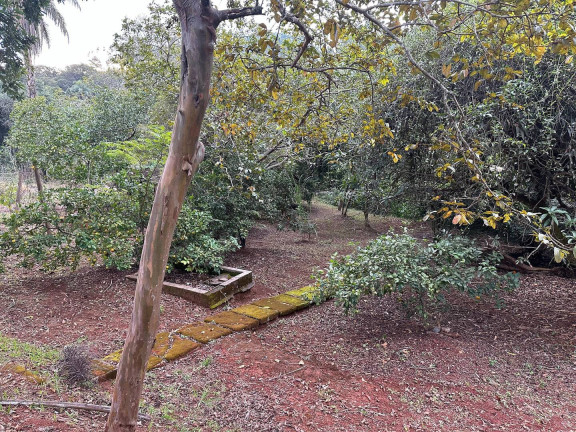 Imagem Chácara com 4 Quartos à Venda, 2.000 m² em Parque Do Lago - Itatiaiuçu
