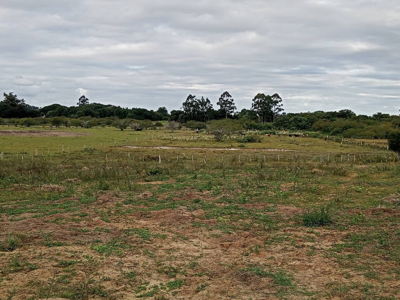 Imagem Chácara com 2 Quartos à Venda, 20.000 m² em águas Claras - Viamão
