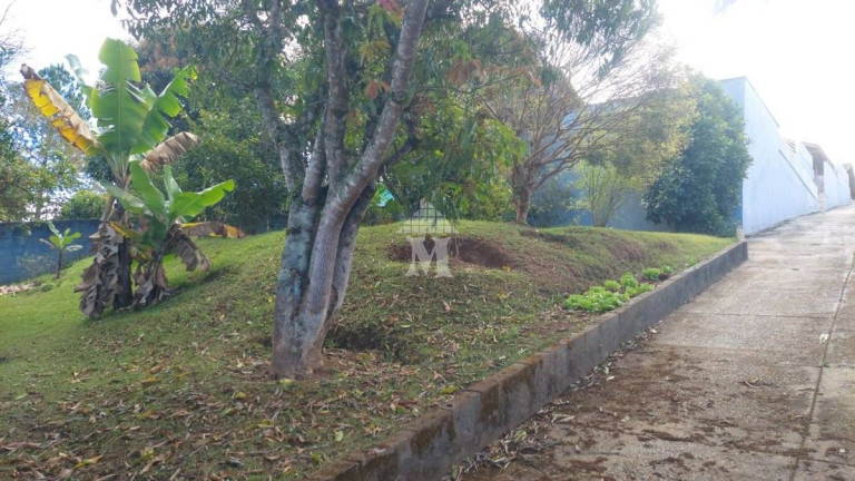 Imagem Chácara com 4 Quartos à Venda, 1.800 m² em Maracanã - Jarinu Imagem Chácara com 4 Quartos à Venda, 1.800 m² em Maracanã - Jarinu