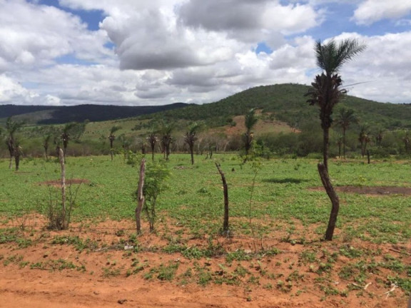 Imagem Fazenda à Venda, 200 m² em Br 116 - Euclides Da Cunha Imagem Fazenda à Venda, 200 m² em Br 116 - Euclides Da Cunha