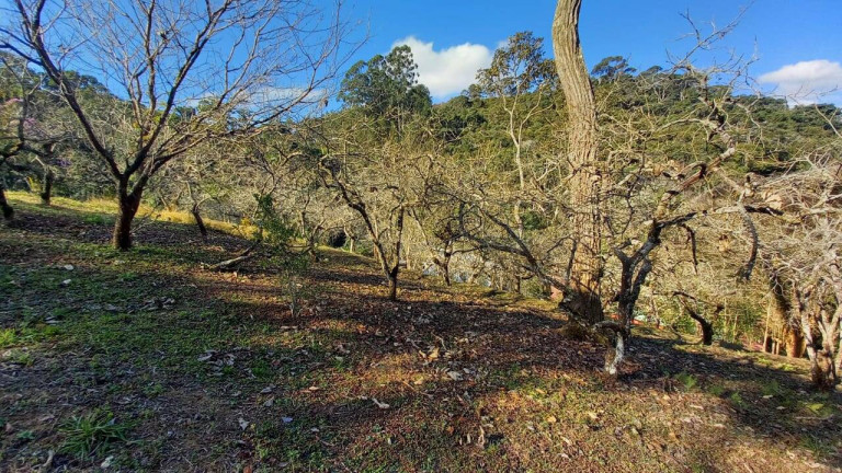 Imagem Chácara com 4 Quartos à Venda, 23 m² em Braunes - Nova Friburgo