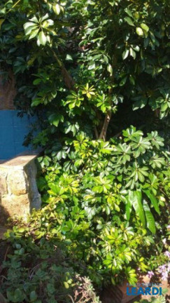 Imagem Imóvel com 2 Quartos à Venda, 67 m² em Vila Tibiriçá - Santo André Imagem Imóvel com 2 Quartos à Venda, 67 m² em Vila Tibiriçá - Santo André
