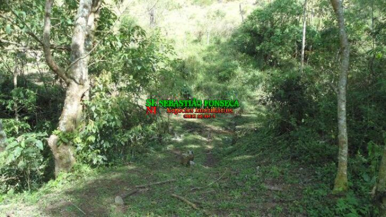 Imagem Chácara à Venda, 72.600 m² em São Francisco Xavier - São José Dos Campos