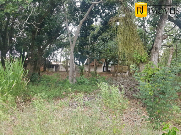 Imagem Terreno à Venda, 3.500 m² em Parque Hotel - Araruama Imagem Terreno à Venda, 3.500 m² em Parque Hotel - Araruama