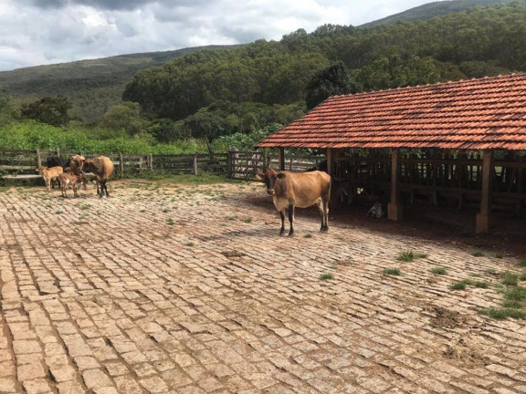 Imagem Fazenda à Venda, 100 m² em Zona Rural - Aiuruoca