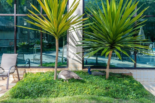 Imagem Imóvel com 4 Quartos à Venda, 305 m² em Panamby - São Paulo Imagem Imóvel com 4 Quartos à Venda, 305 m² em Panamby - São Paulo