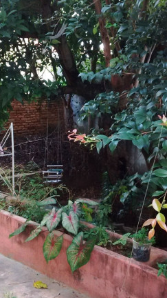 Imagem Casa com 3 Quartos à Venda, em Vila Arens Ii - Jundiaí Imagem Casa com 3 Quartos à Venda, em Vila Arens Ii - Jundiaí