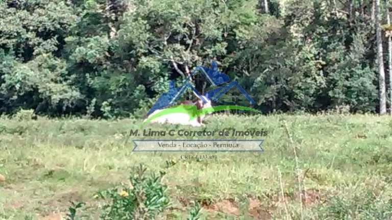 Imagem Fazenda à Venda, 55 m² em Joanópolis Imagem Fazenda à Venda, 55 m² em Joanópolis
