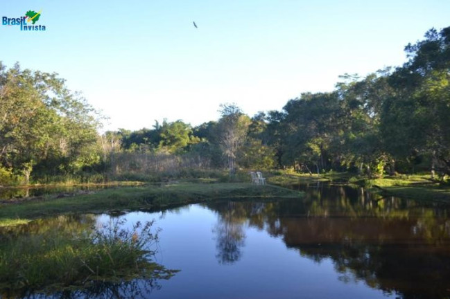 Imagem Chácara com 7 Quartos à Venda, 10 m² em Trancoso - Porto Seguro Imagem Chácara com 7 Quartos à Venda, 10 m² em Trancoso - Porto Seguro