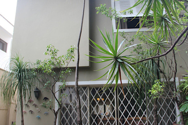 Imagem Casa com 3 Quartos à Venda, 256 m² em Jardim Paulistano - São Paulo