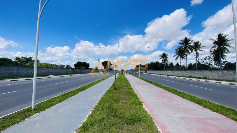 Imagem Terreno à Venda, 5.000 m² em Parque Ipê - Feira De Santana