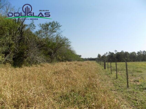 Imagem Chácara à Venda, 20.000 m² em águas Claras - Viamão Imagem Chácara à Venda, 20.000 m² em águas Claras - Viamão