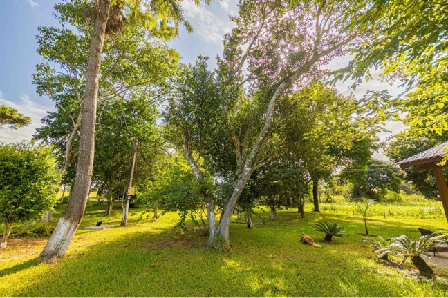 Imagem Chácara à Venda, 726 m² em águas Claras - Viamão