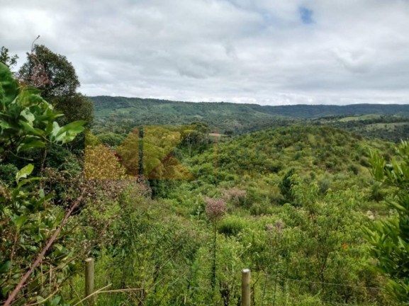 Imagem Fazenda à Venda, 64.288 m² em Barra Avencal - Rio Dos Cedros Imagem Fazenda à Venda, 64.288 m² em Barra Avencal - Rio Dos Cedros