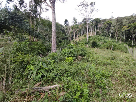 Imagem Fazenda à Venda, 13.000 m² em Pagará - São Pedro De Alcântara Imagem Fazenda à Venda, 13.000 m² em Pagará - São Pedro De Alcântara