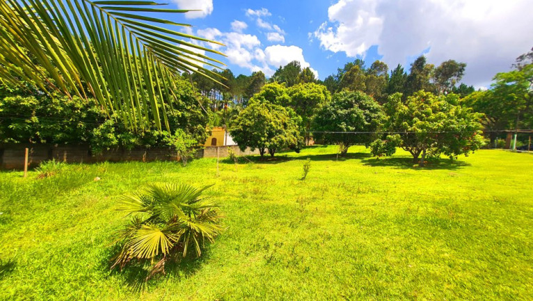 Imagem Imóvel com 2 Quartos à Venda, 3.768 m² em Jardim Estância Brasil - Atibaia Imagem Imóvel com 2 Quartos à Venda, 3.768 m² em Jardim Estância Brasil - Atibaia