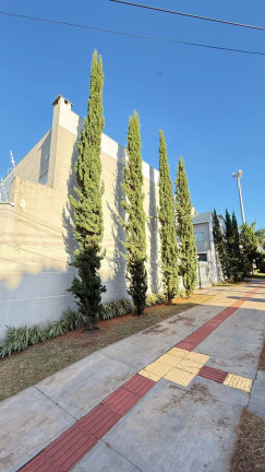 Imagem Imóvel com 3 Quartos à Venda, 140 m² em Vila Do Polonês - Campo Grande