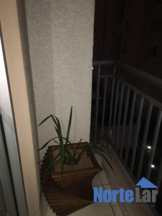 Imagem Apartamento com 2 Quartos à Venda, 50 m² em Vila Palmeiras - São Paulo