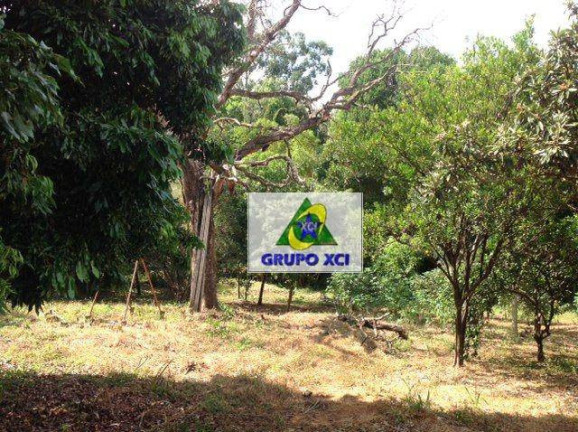 Imagem Chácara à Venda, 8.922 m² em Vila Pinheiro - Mogi Guaçu Imagem Chácara à Venda, 8.922 m² em Vila Pinheiro - Mogi Guaçu