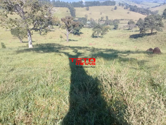 Imagem Imóvel com 2 Quartos à Venda, 146 m² em Zona Rural Carmo De Minas - Carmo De Minas Imagem Imóvel com 2 Quartos à Venda, 146 m² em Zona Rural Carmo De Minas - Carmo De Minas