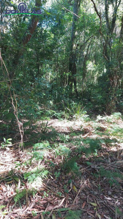 Terreno à Venda, 2.400 m² em Viamão