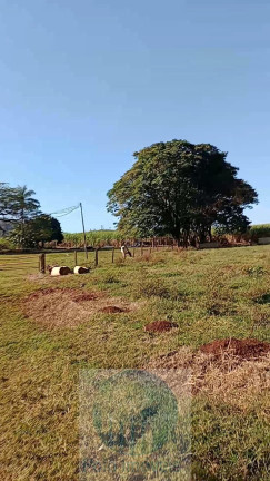 Imagem Imóvel com 8 Quartos à Venda, 773 m² em Serra Azul - Serra Azul Imagem Imóvel com 8 Quartos à Venda, 773 m² em Serra Azul - Serra Azul