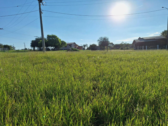 Imagem Terreno à Venda, 318 m² em águas Claras - Viamão Imagem Terreno à Venda, 318 m² em águas Claras - Viamão