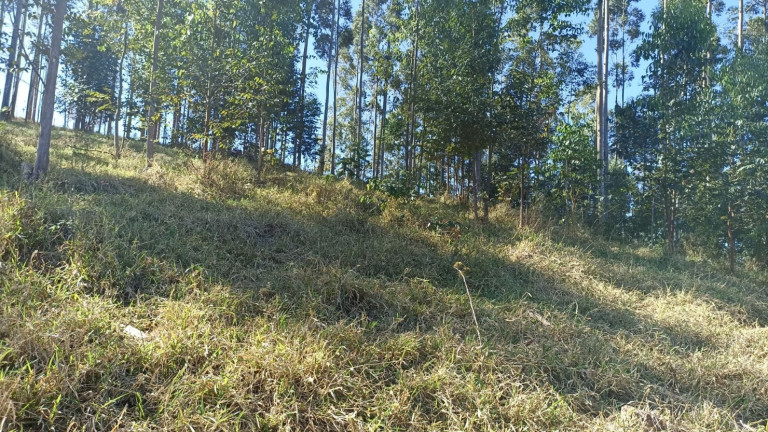 Imagem Chácara com 2 Quartos à Venda, 100 m² em Centro - Paraibuna Imagem Chácara com 2 Quartos à Venda, 100 m² em Centro - Paraibuna