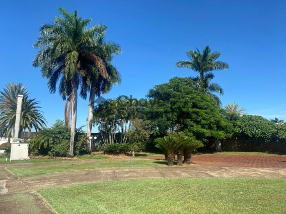 Imagem Casa com 6 Quartos à Venda, 5.063 m² em Sítio De Recreio Passaredo - Birigui Imagem Casa com 6 Quartos à Venda, 5.063 m² em Sítio De Recreio Passaredo - Birigui