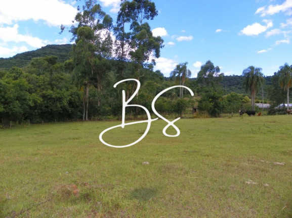 Imagem Imóvel à Venda, 80.000 m² em Linha Temerária - Nova Petrópolis