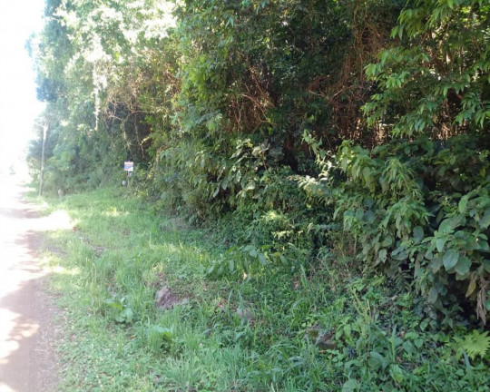 Imagem Imóvel à Venda,  em Pinhal Alto - Nova Petrópolis