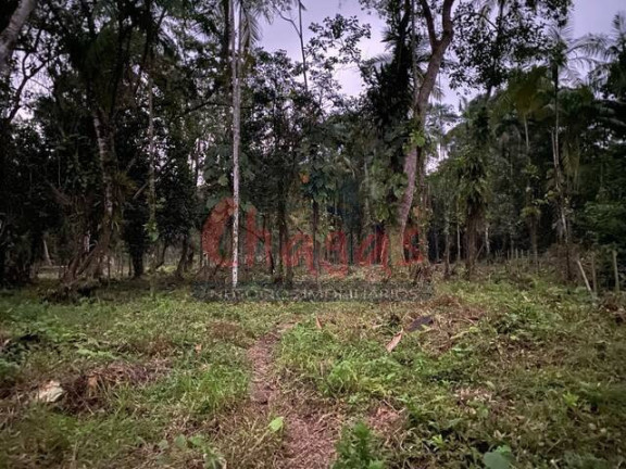 Imagem Terreno à Venda, 3.696 m² em Barranco Alto - Caraguatatuba